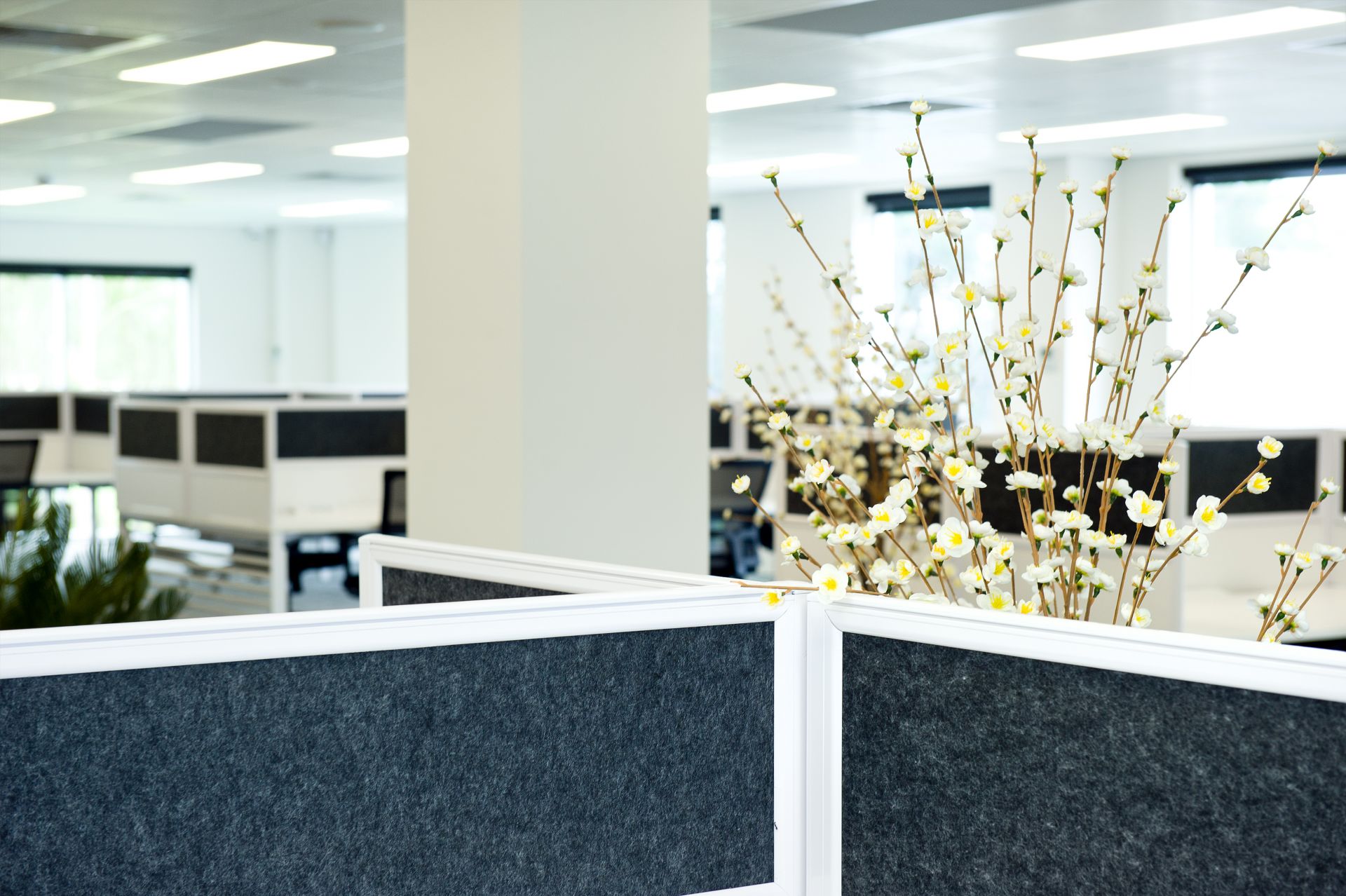 Nexus Smart Hub image 4