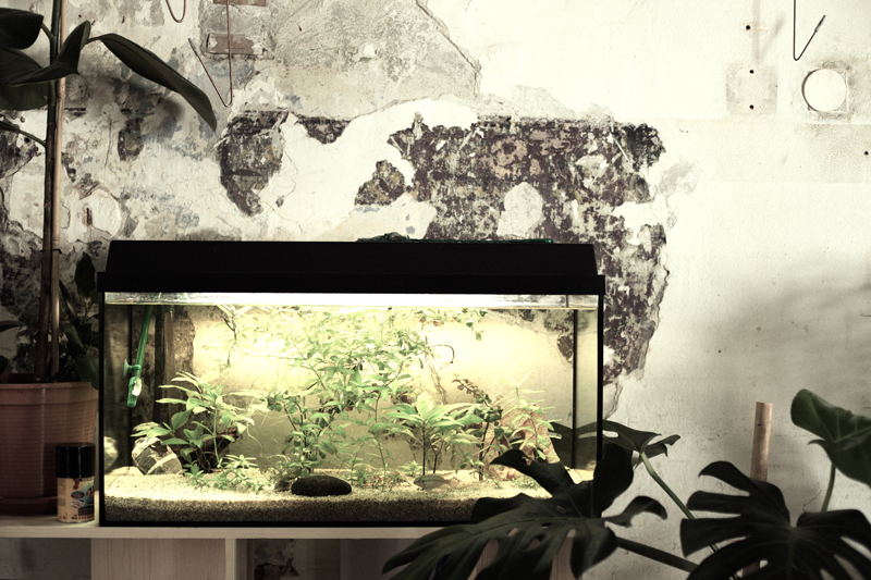 Die Backerei image 4