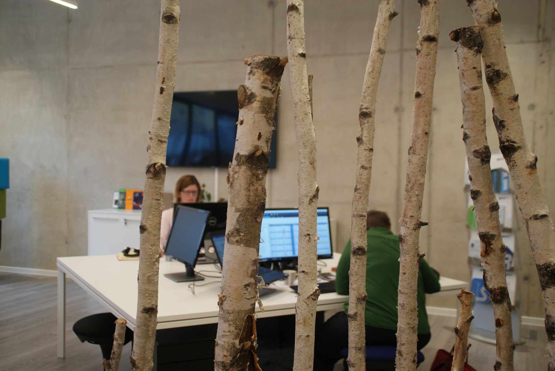 Freiraum@Interalp image 2