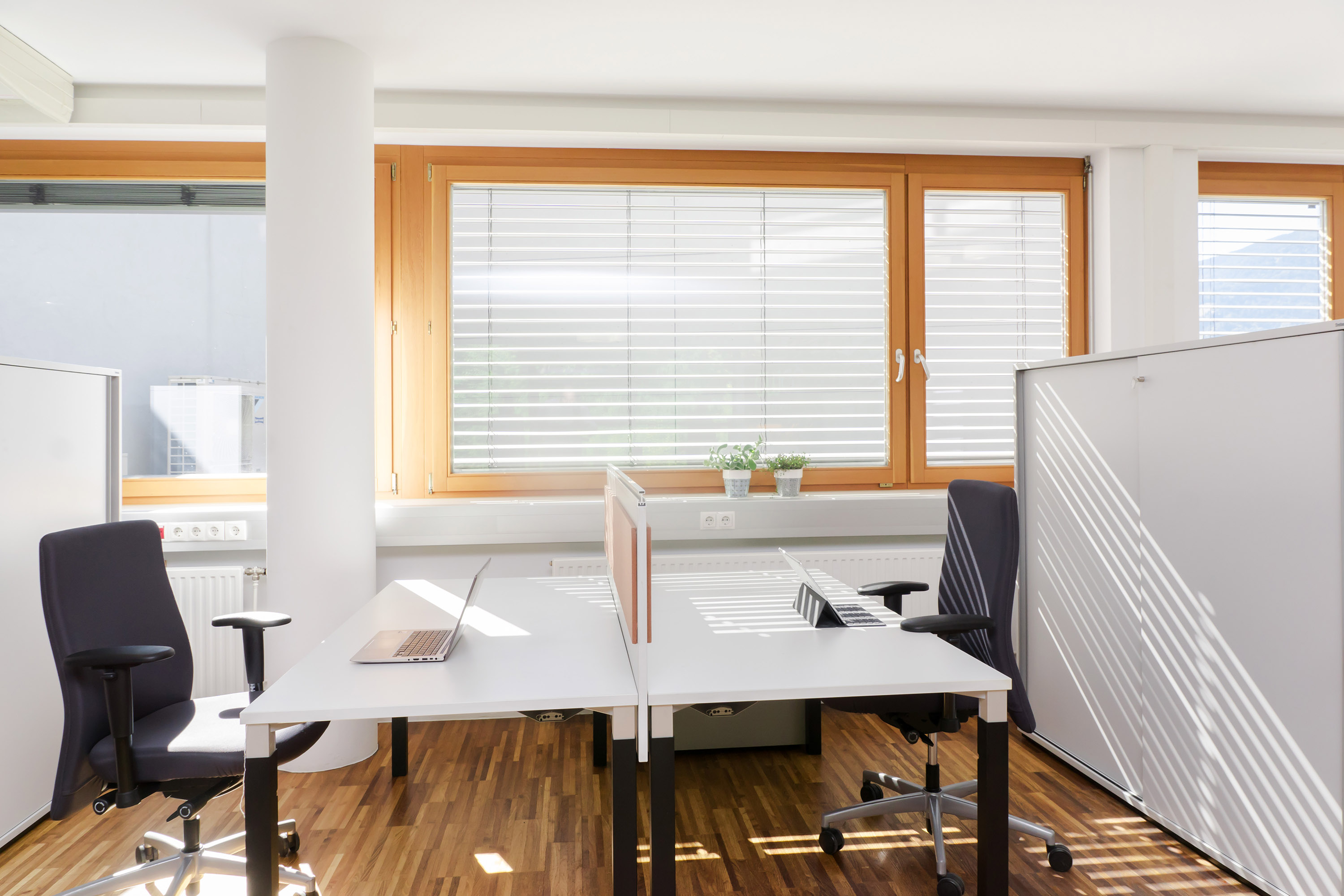 Cowo Lantech image 3