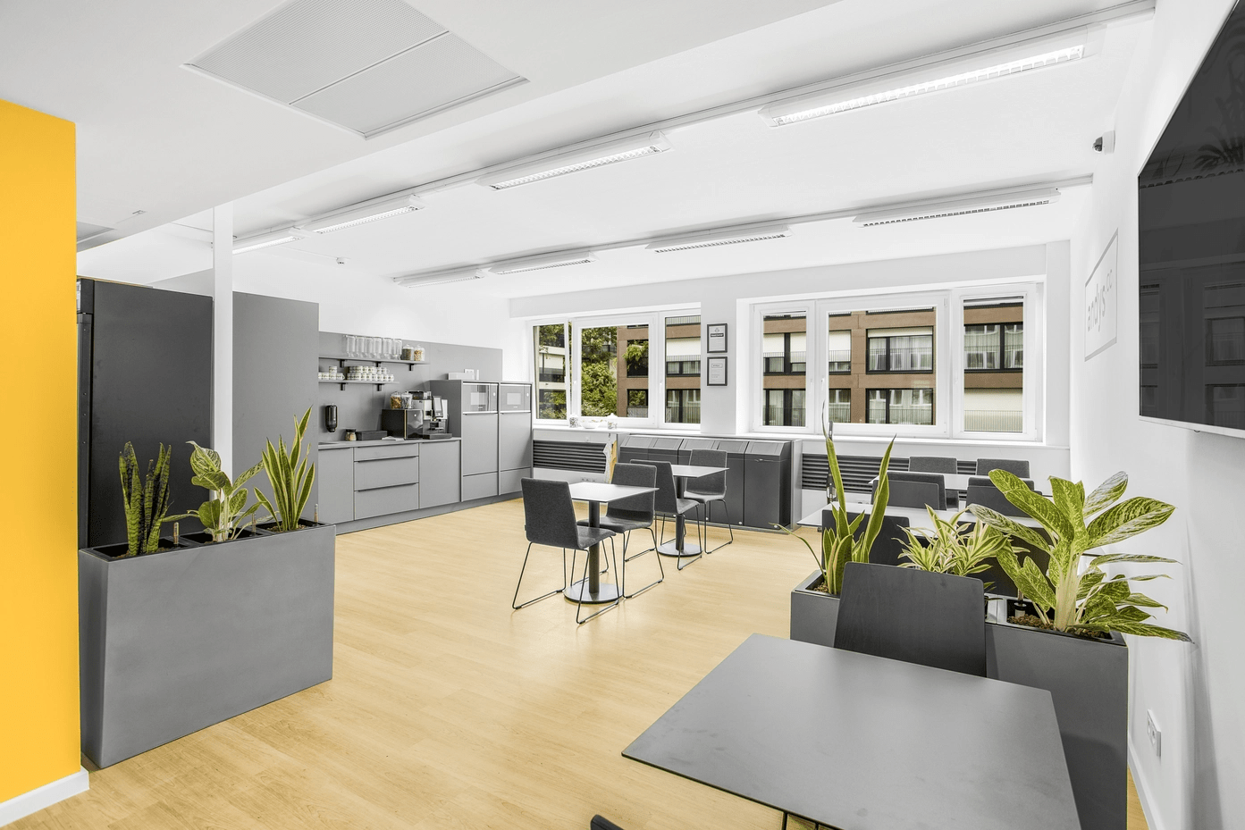 andys.cc Wohllebengasse image 2