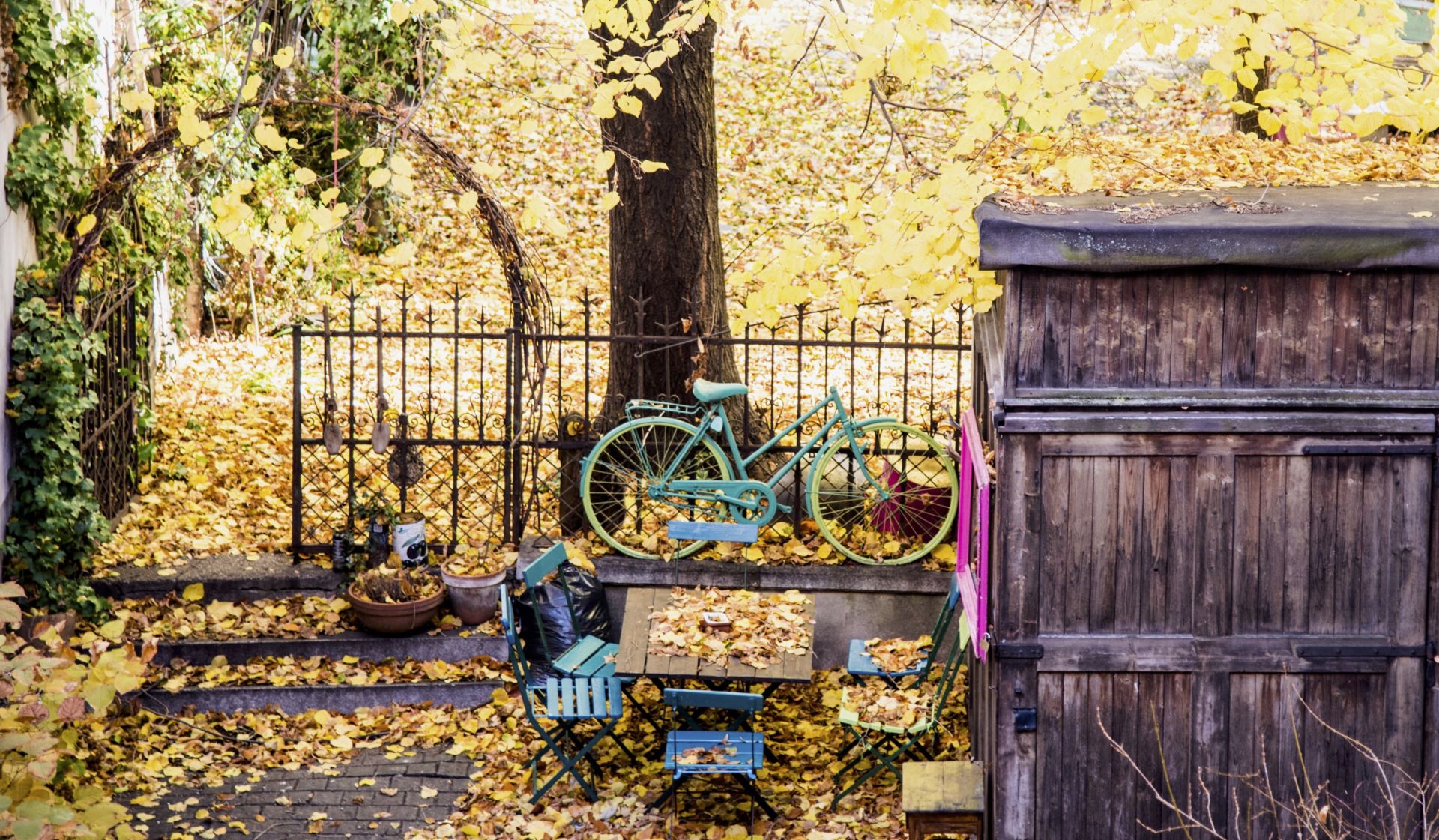 imhinterhaus image 2