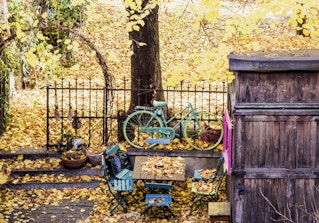 imhinterhaus image 2