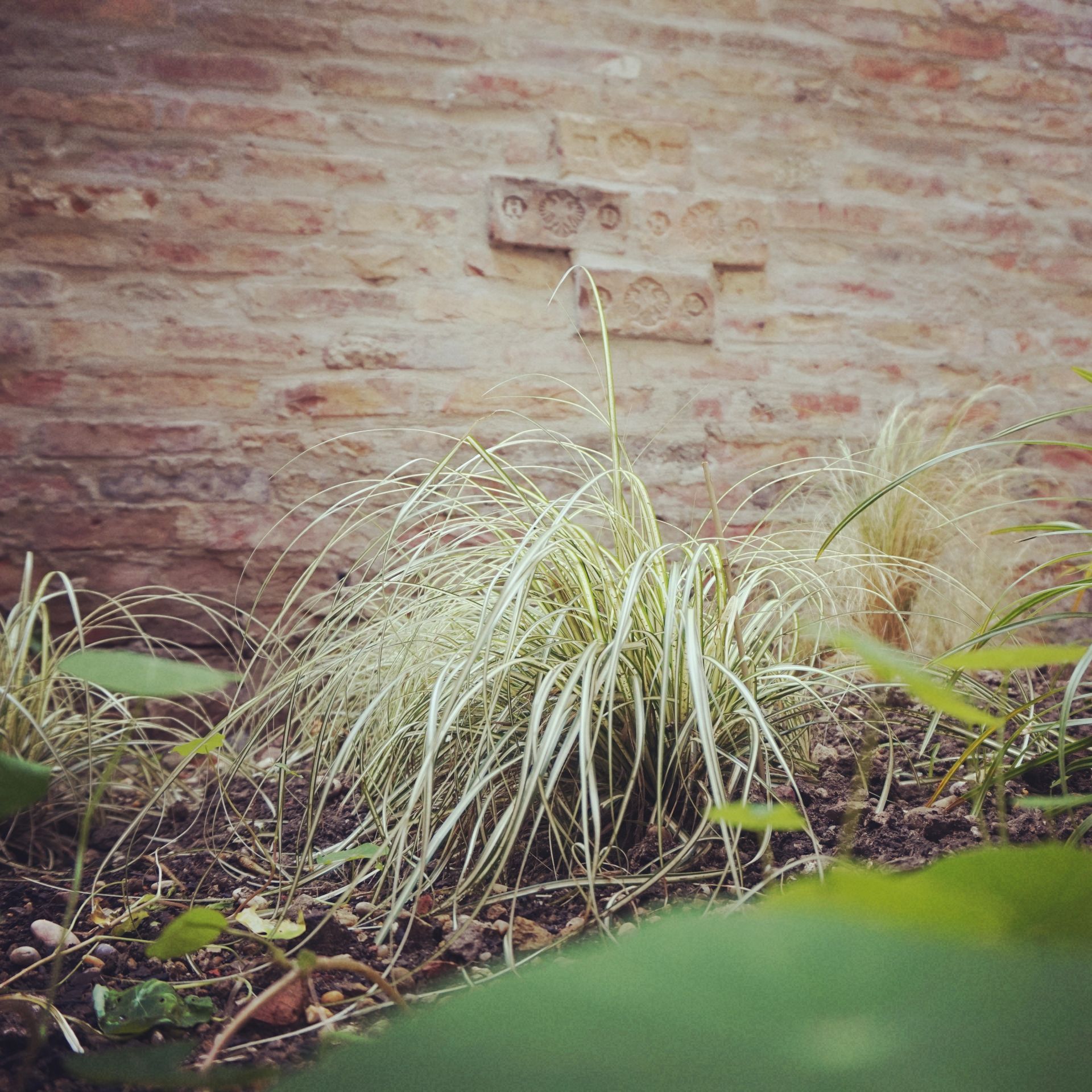 Louvart Offices image 4