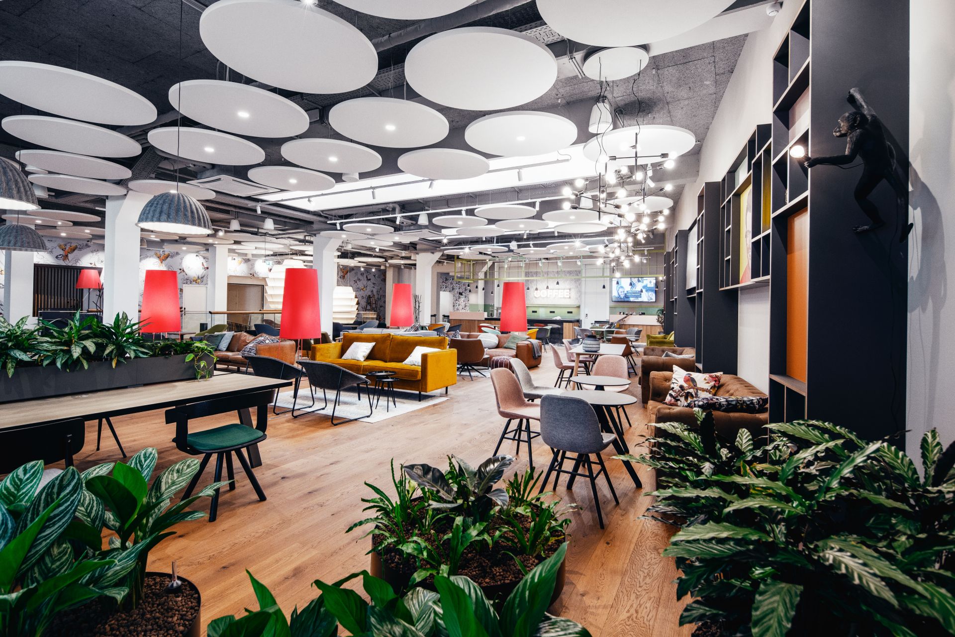 myhive Ungargasse image 4