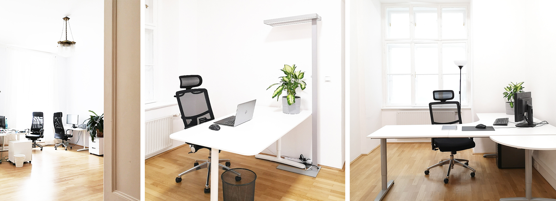 Palais Schlick: Repräsentative Büro-/ Ordinationsräume in zentraler Lage image 4