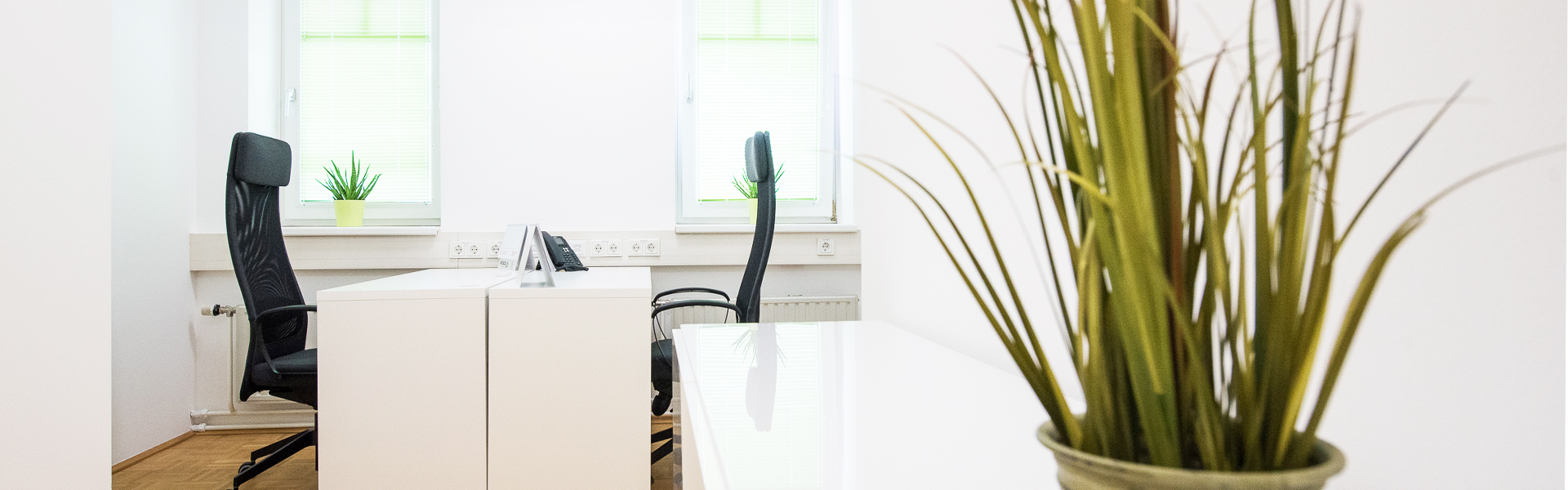 Tanbruck Offices image 4