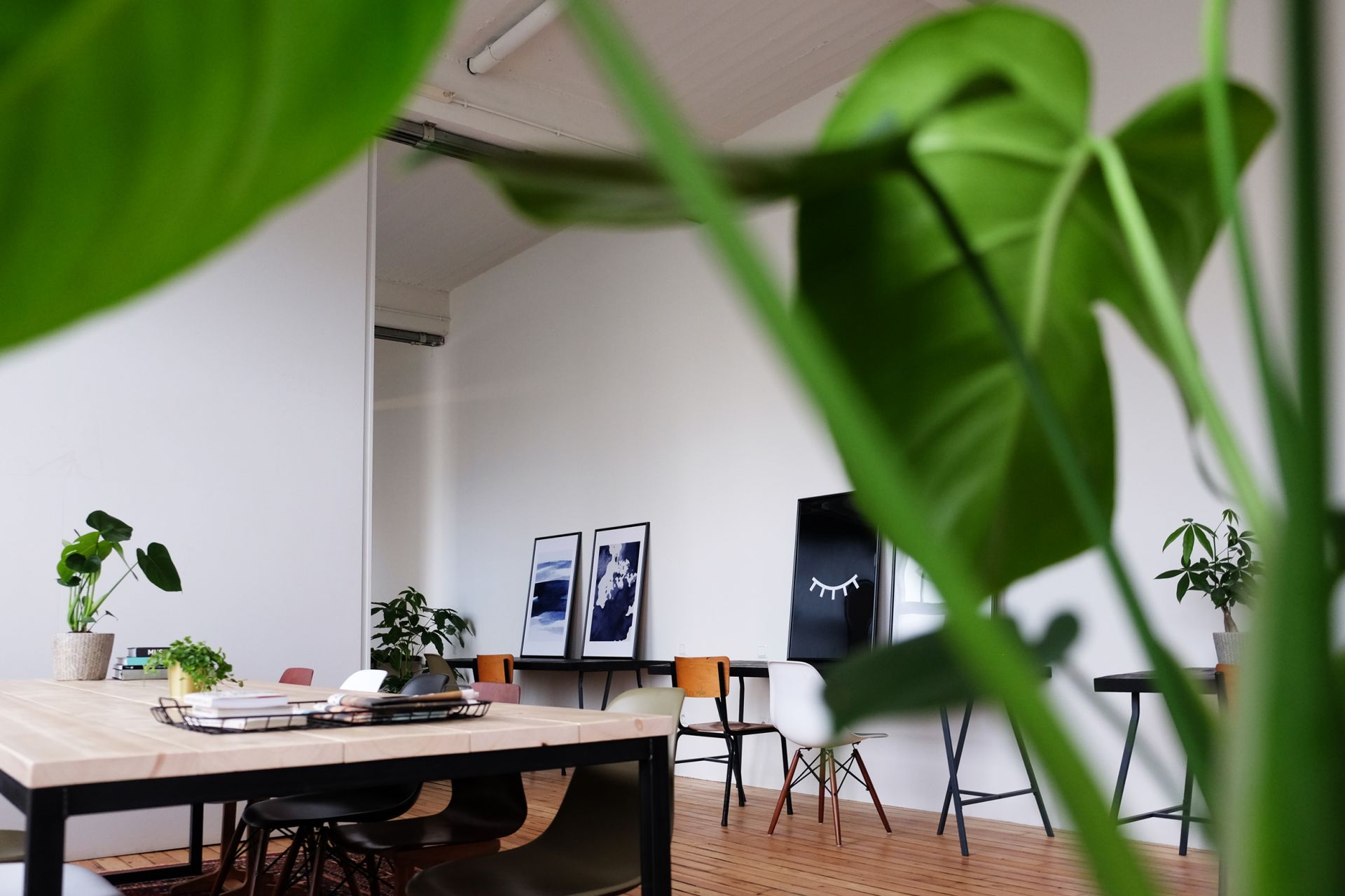 Friday Cowork image 4