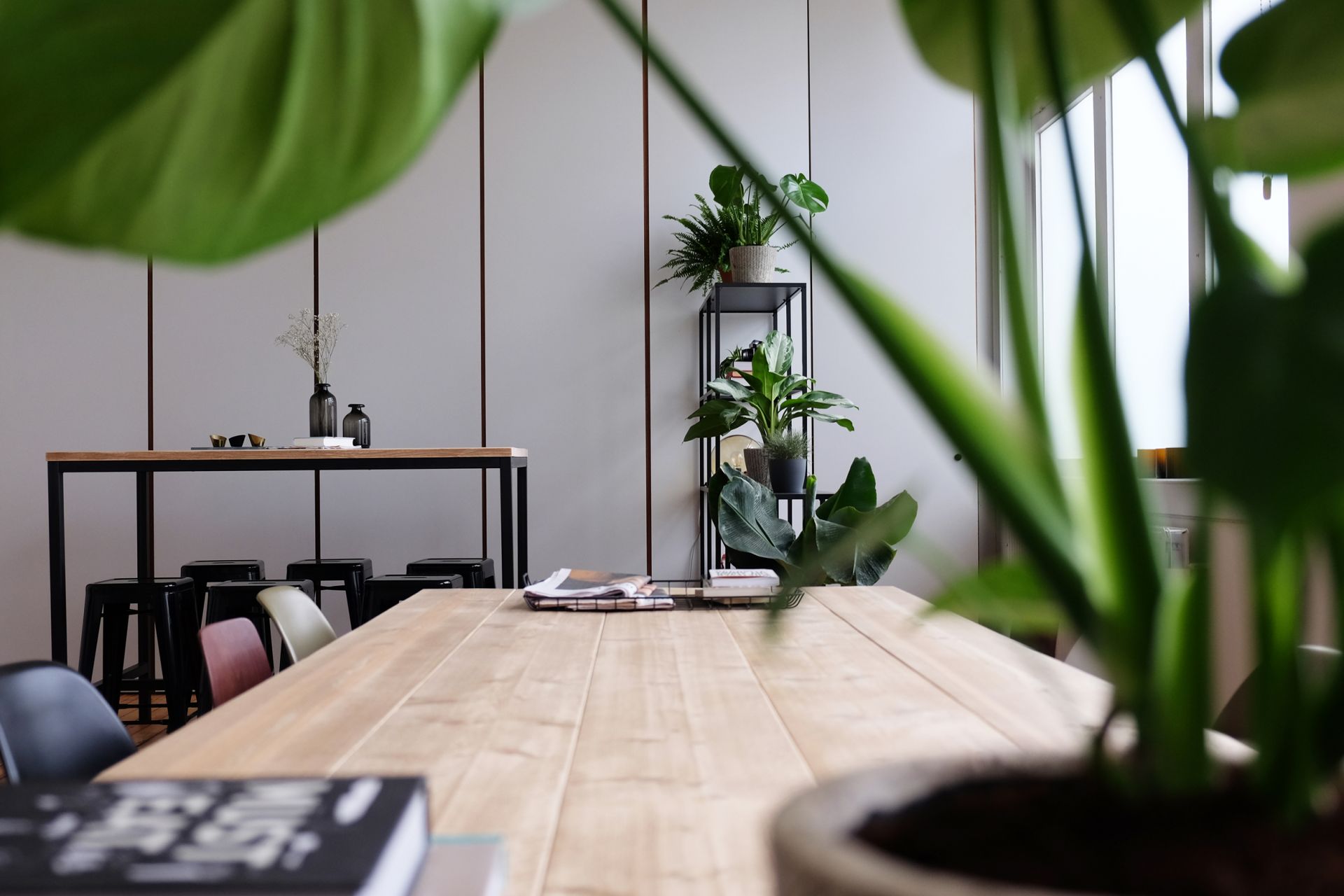 Friday Cowork image 5