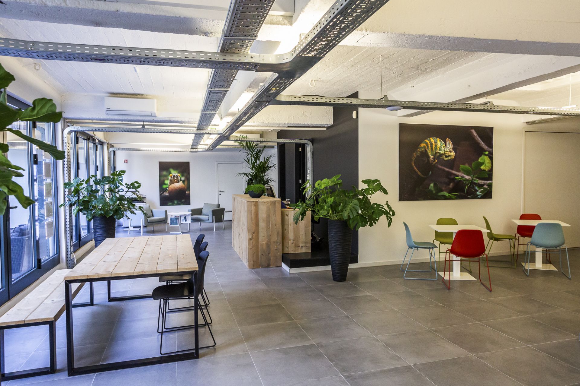 The Paint Factory image 2