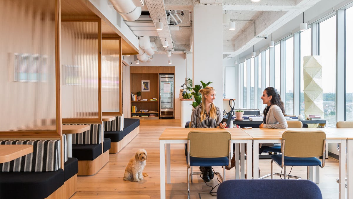 WeWork Botanic image 4