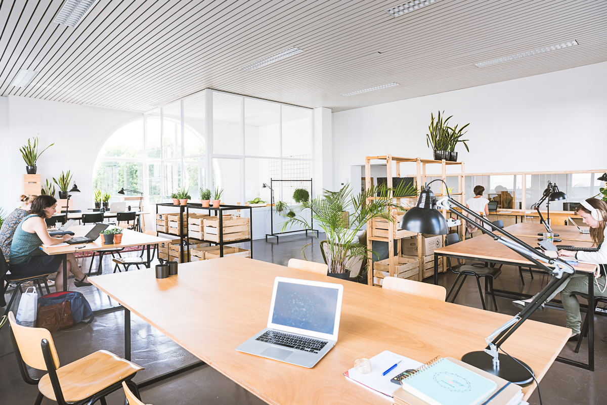 LikeBirds profile image