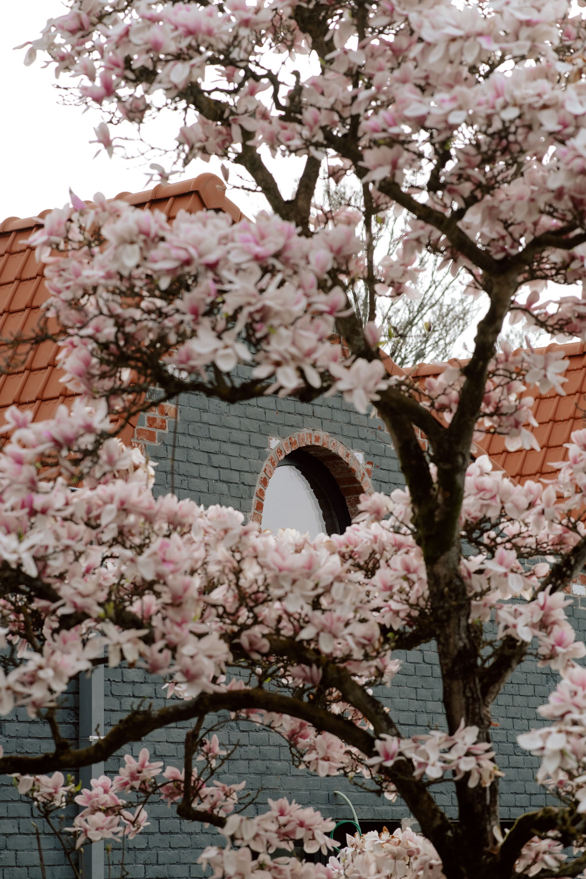 UR zone Gent image 3