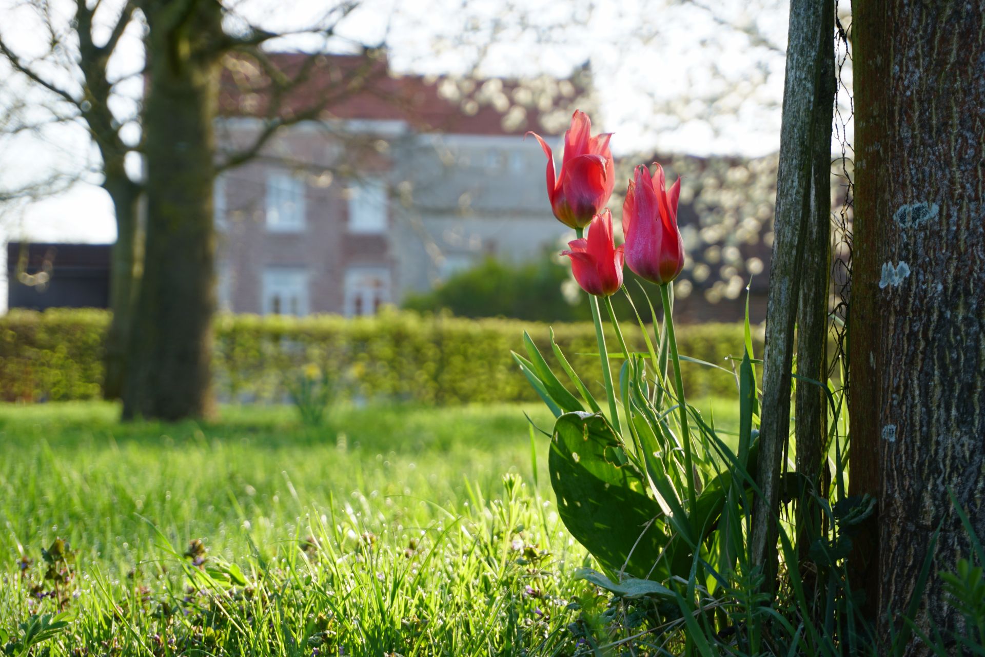 Duigemhof Bedrijvencentrum image 5