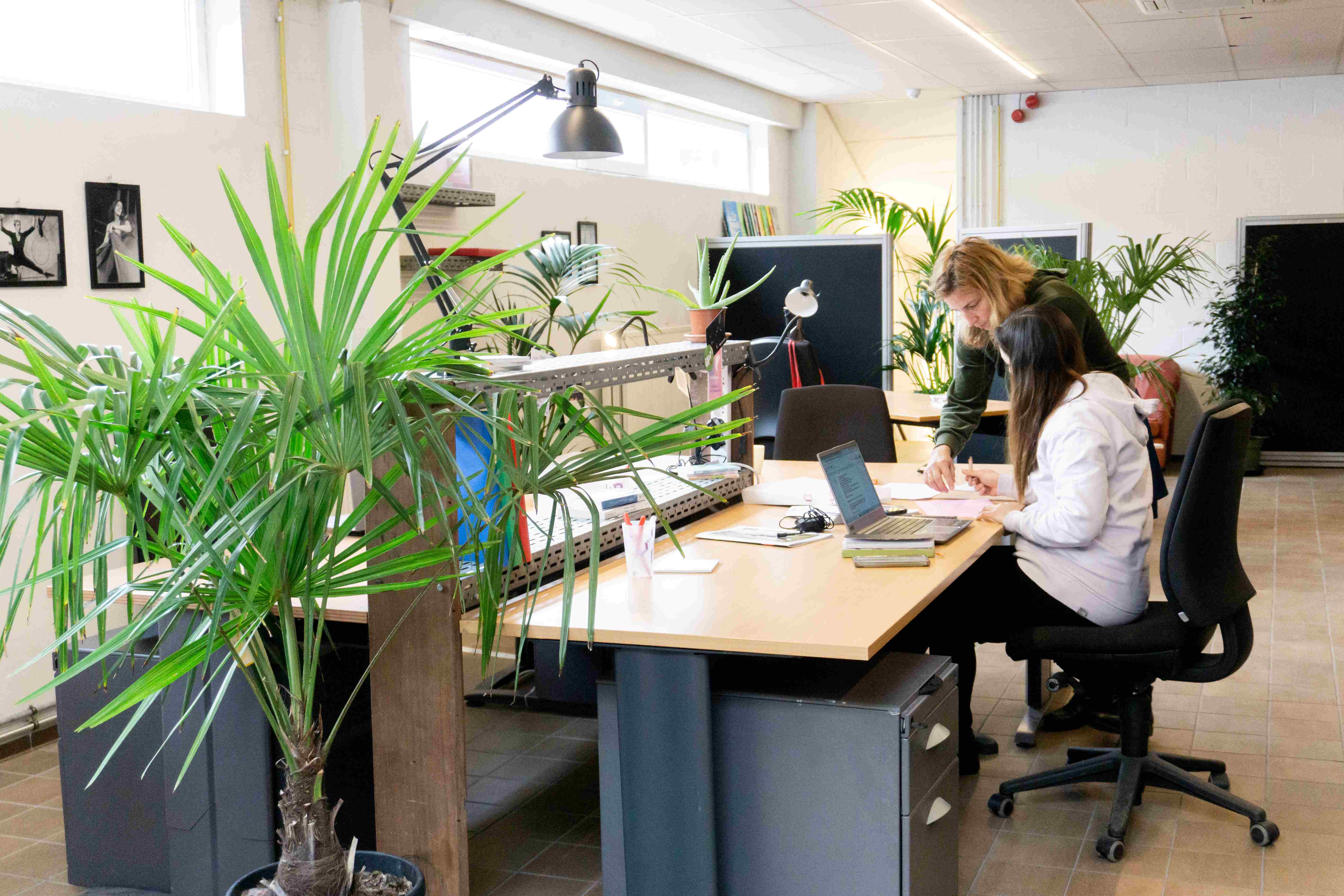 COWORKING UP - CIRCUS & PERFORMING ARTS image 3