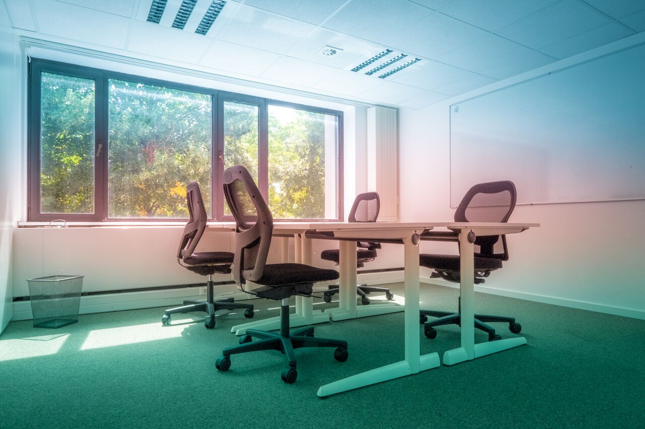 transforma Zav image 4