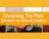 The Plant image 0