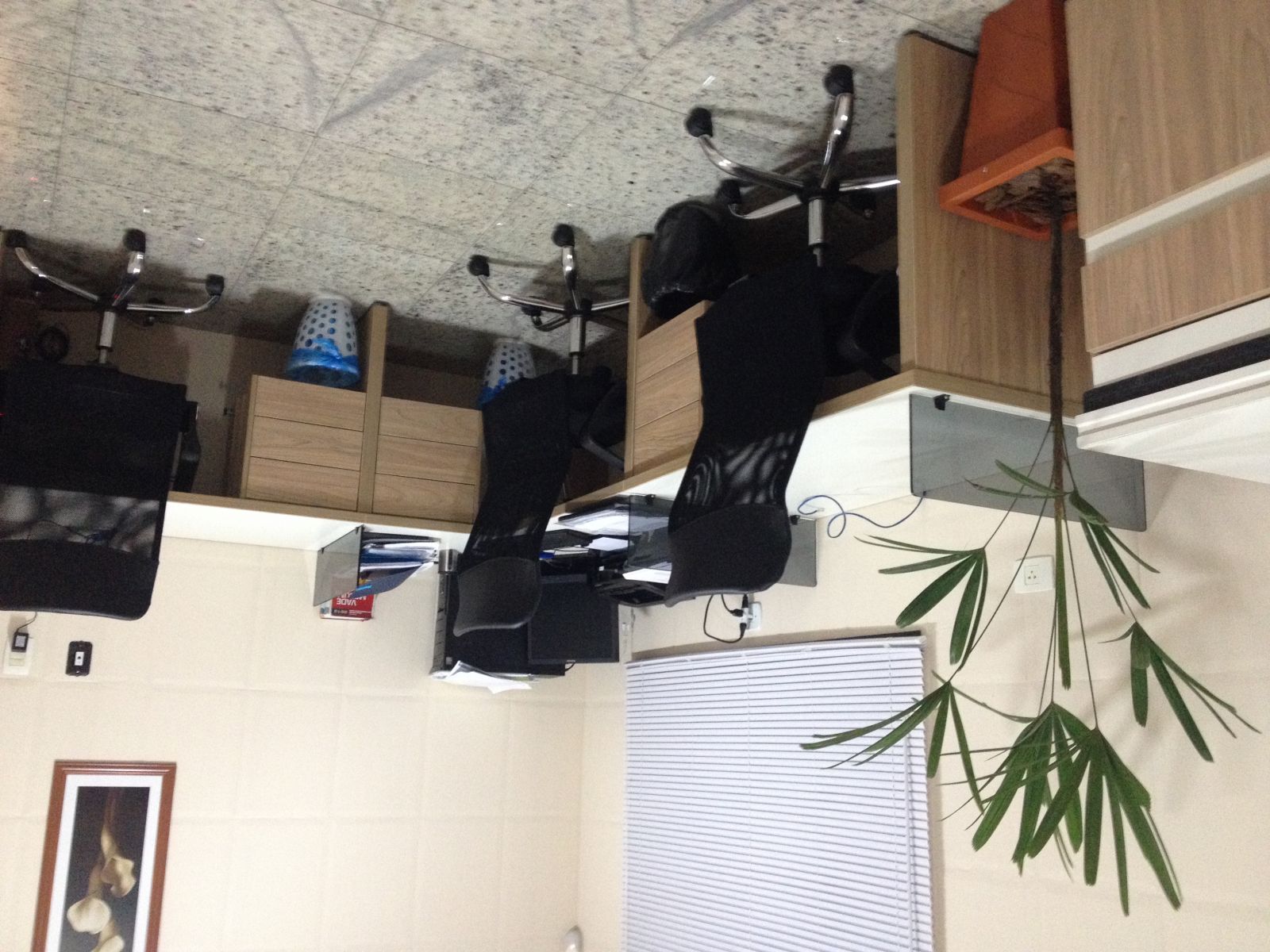 AGUIA COWORK SERVIÇOS LTDA image 3