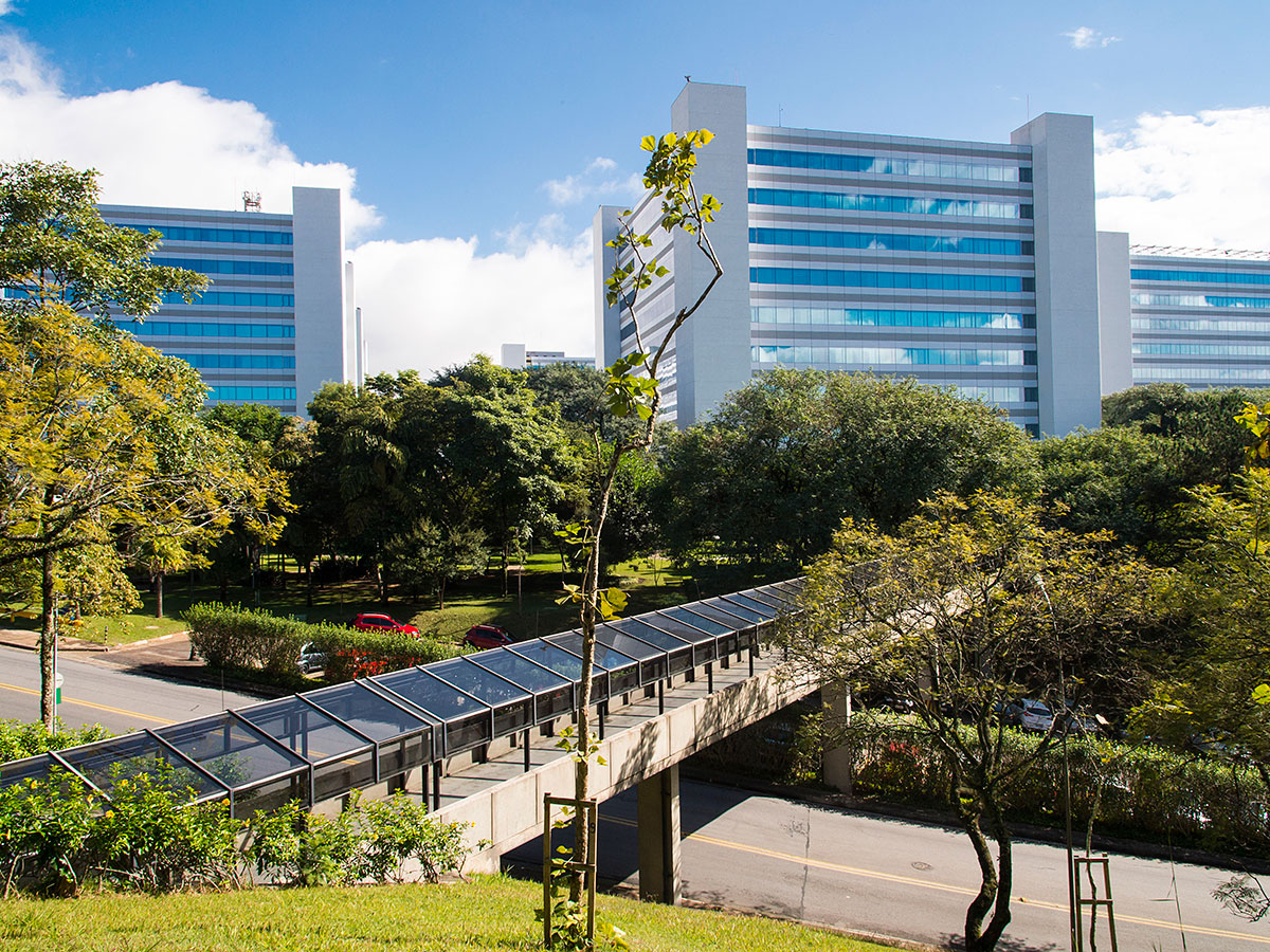 IGLOO NETWORK image 4