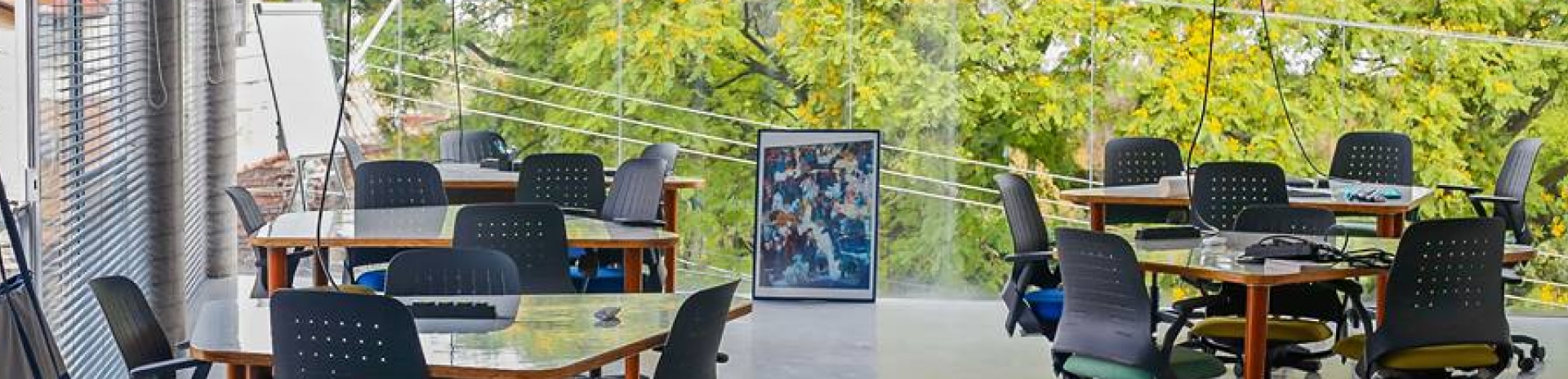 Viveiro profile image