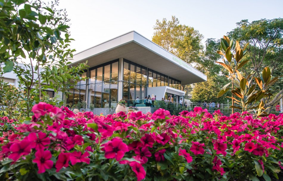 Albena Business image 4