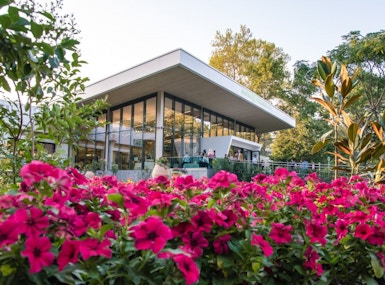 Albena Business image 4