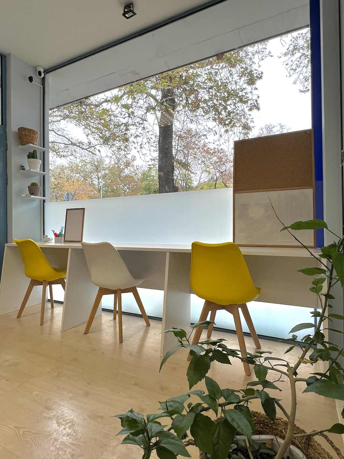 Coworking Space Aprilov image 4