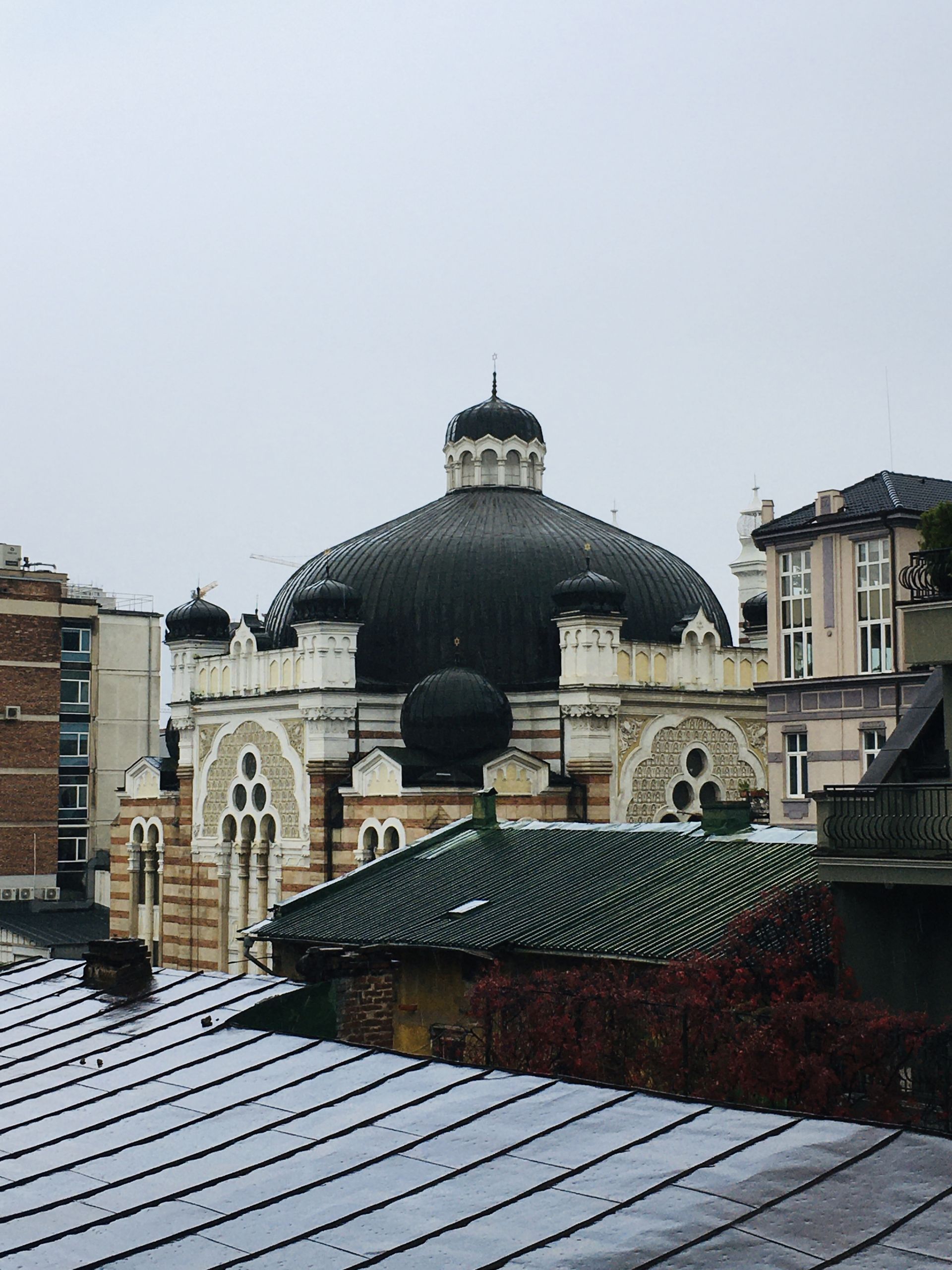 COSMOS Coworking Camp image 2