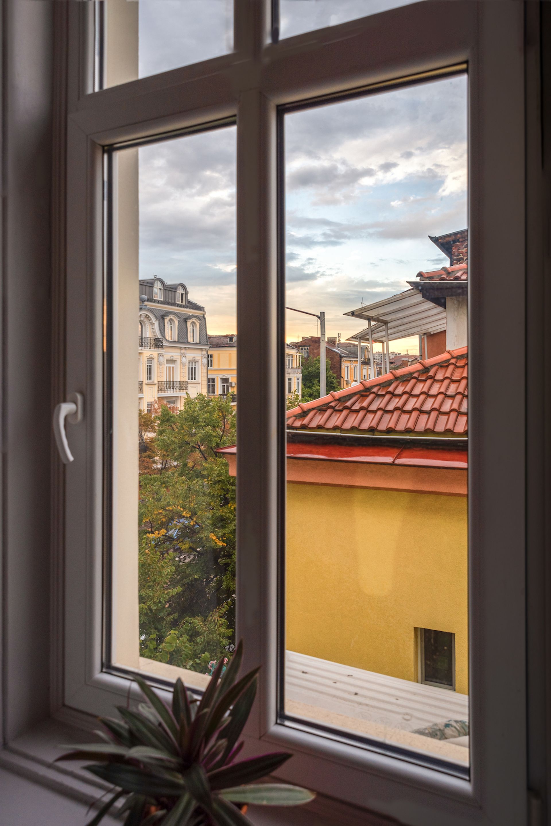 Networking Premium Coworking (H. Botev) image 5