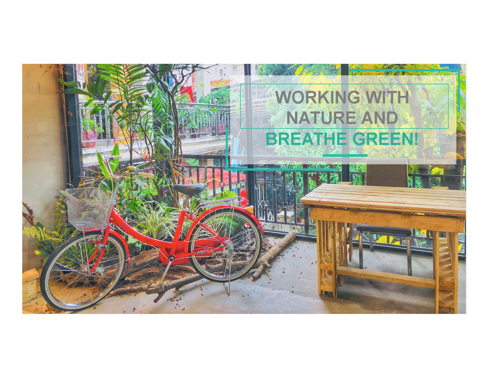 Forest Coworking Space image 2