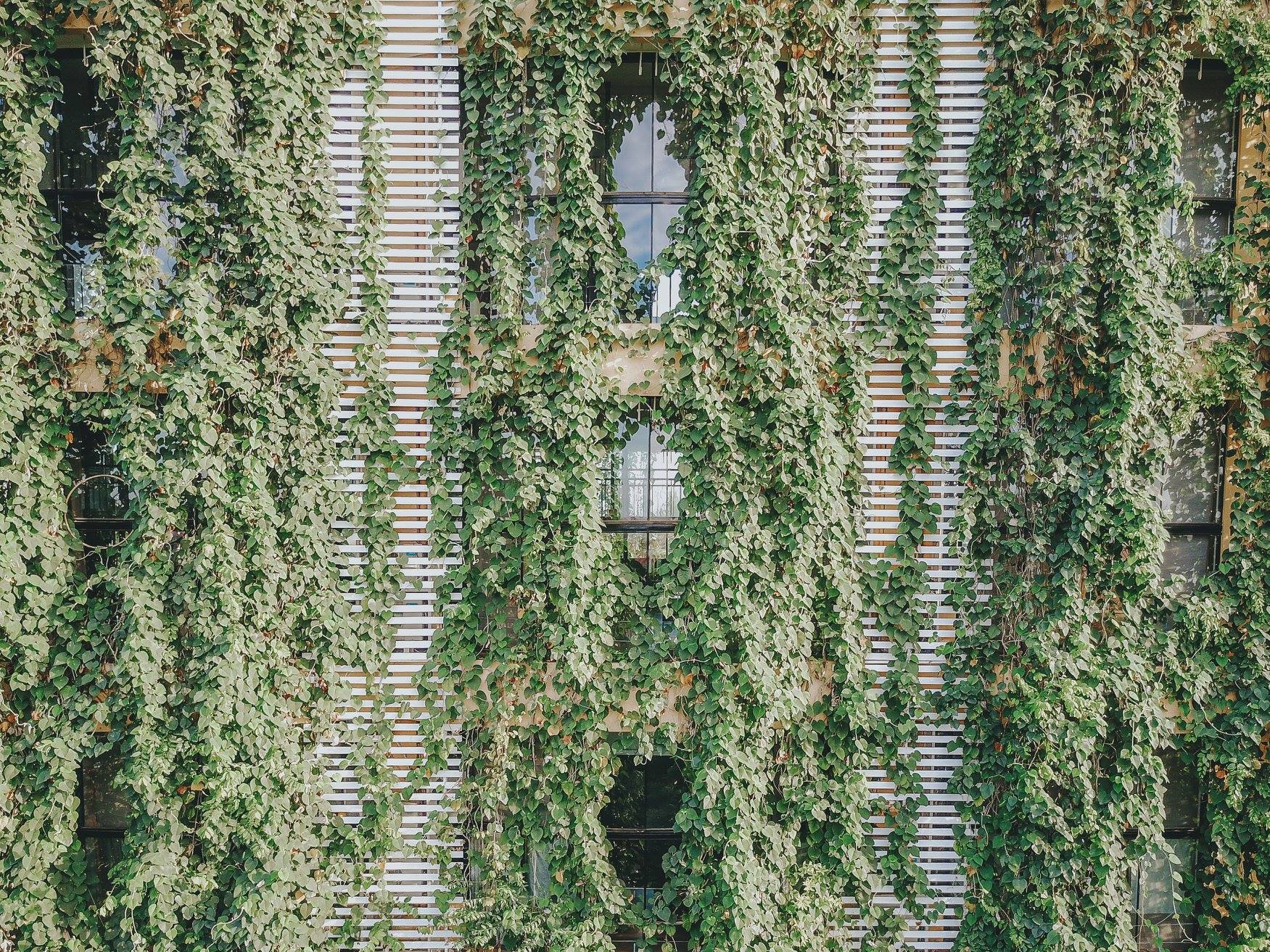 Yellow Tower image 3