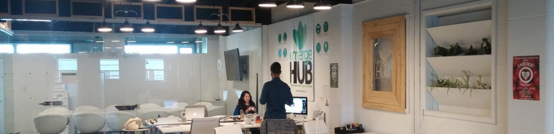 emergeHUB profile image