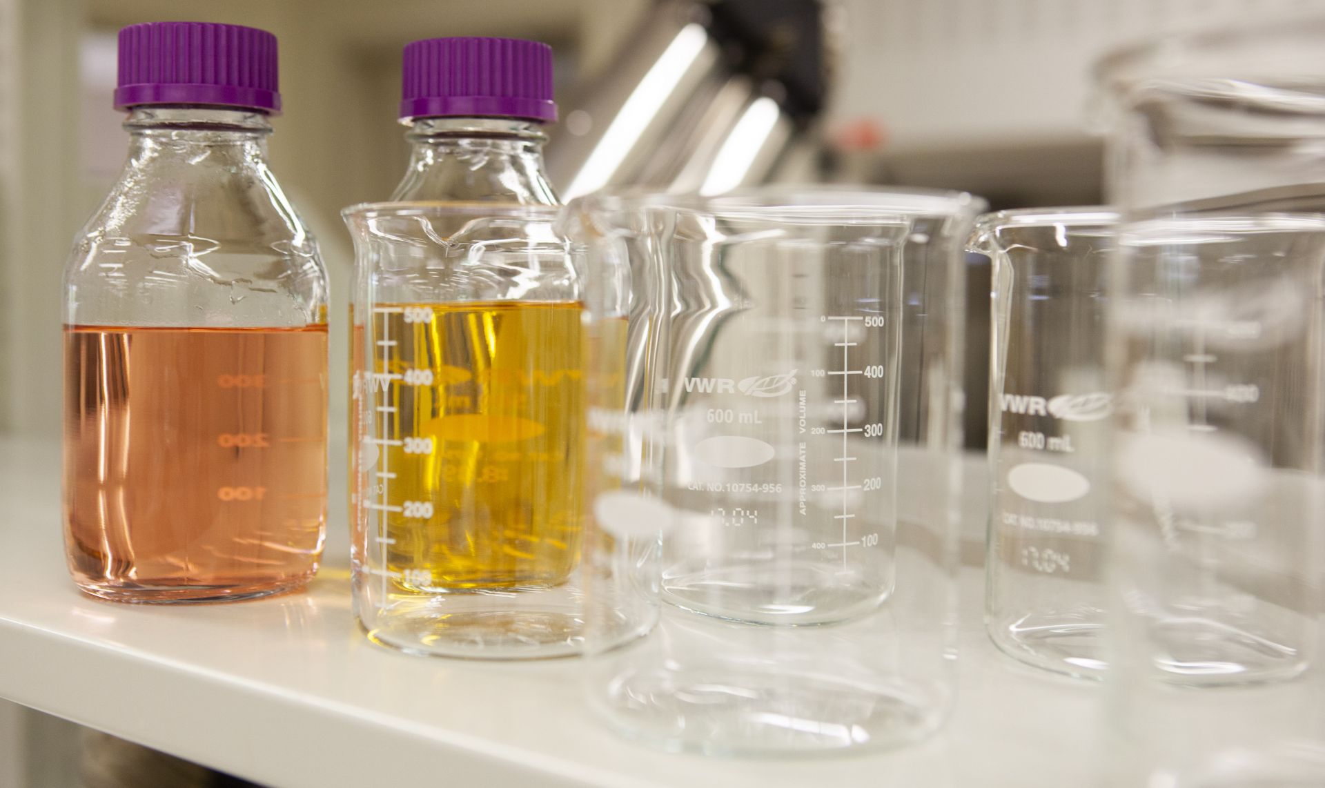 Life Sciences Innovation Hub image 3