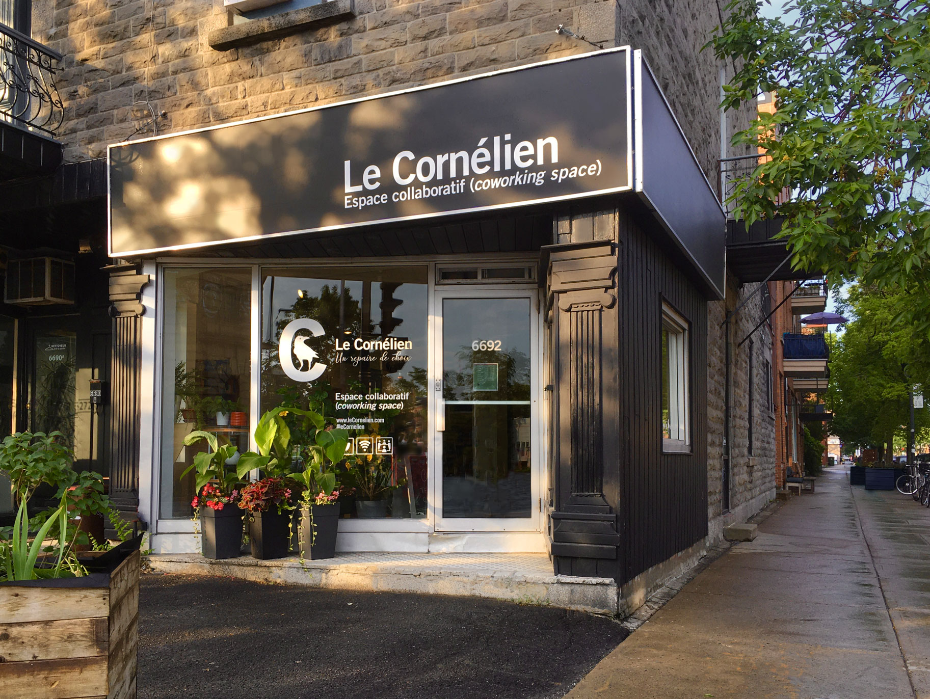 Le Cornélien image 2