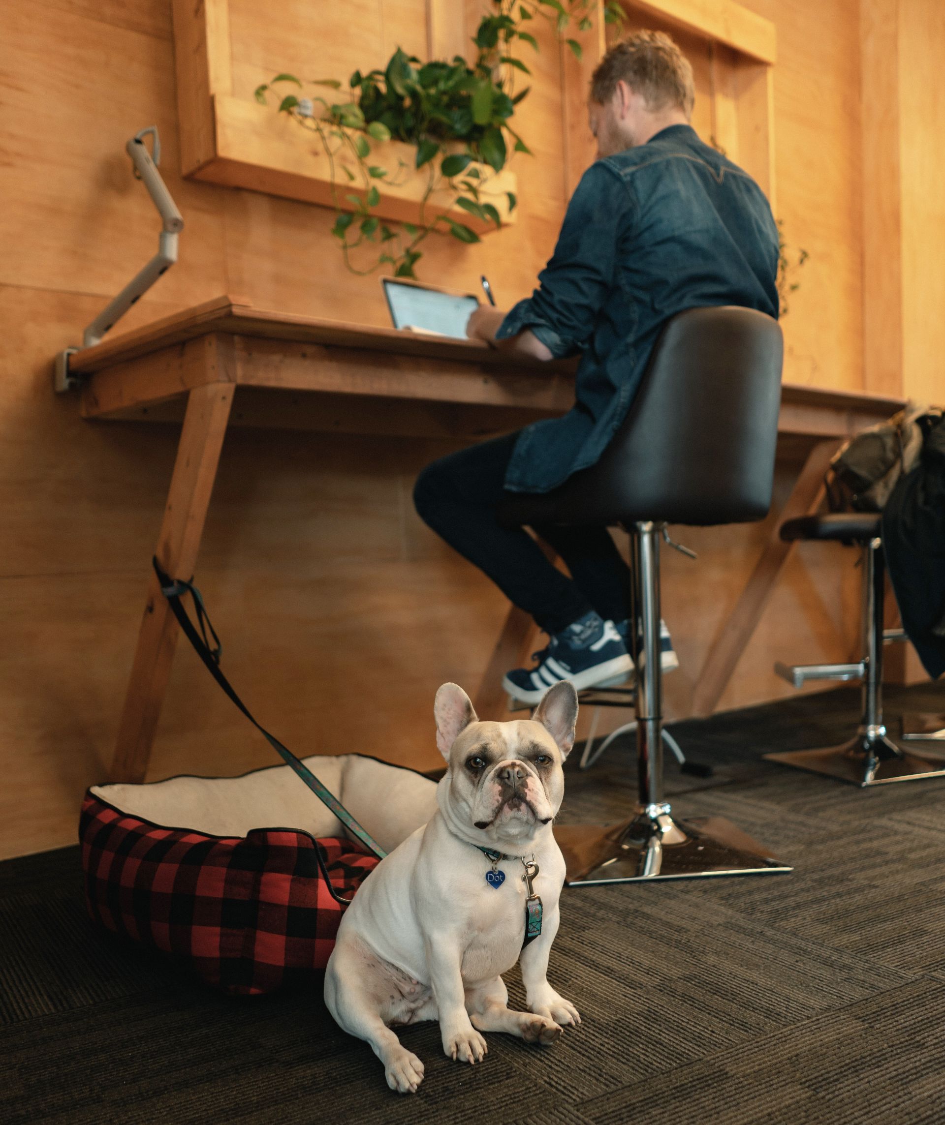 Input Cowork image 5