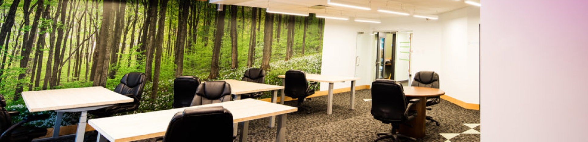 Centre d'Affaires l'executif profile image