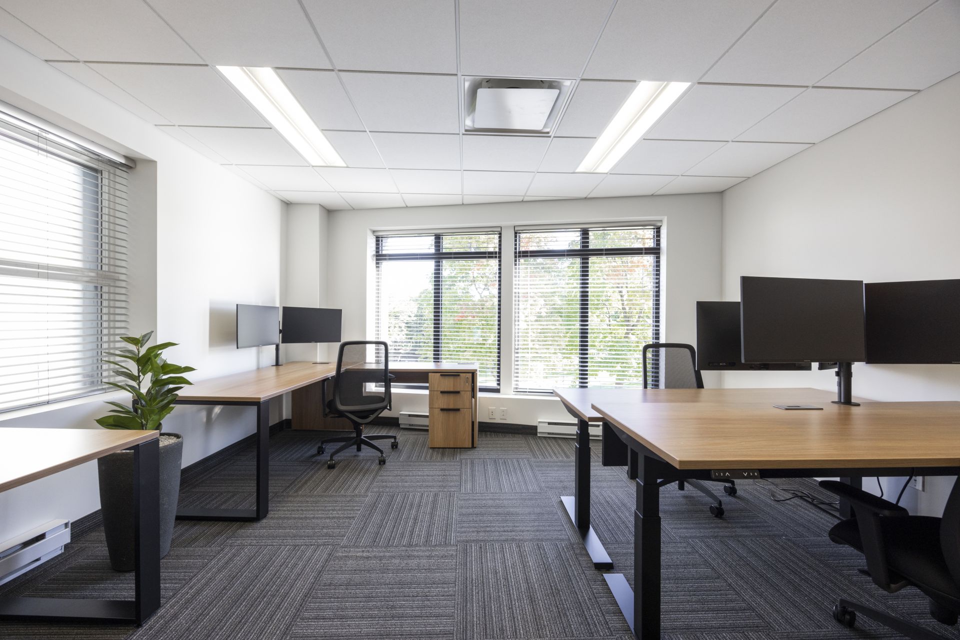 Espace Grande Allée image 4