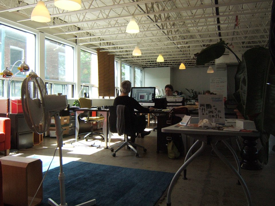 Espace Koala image 5