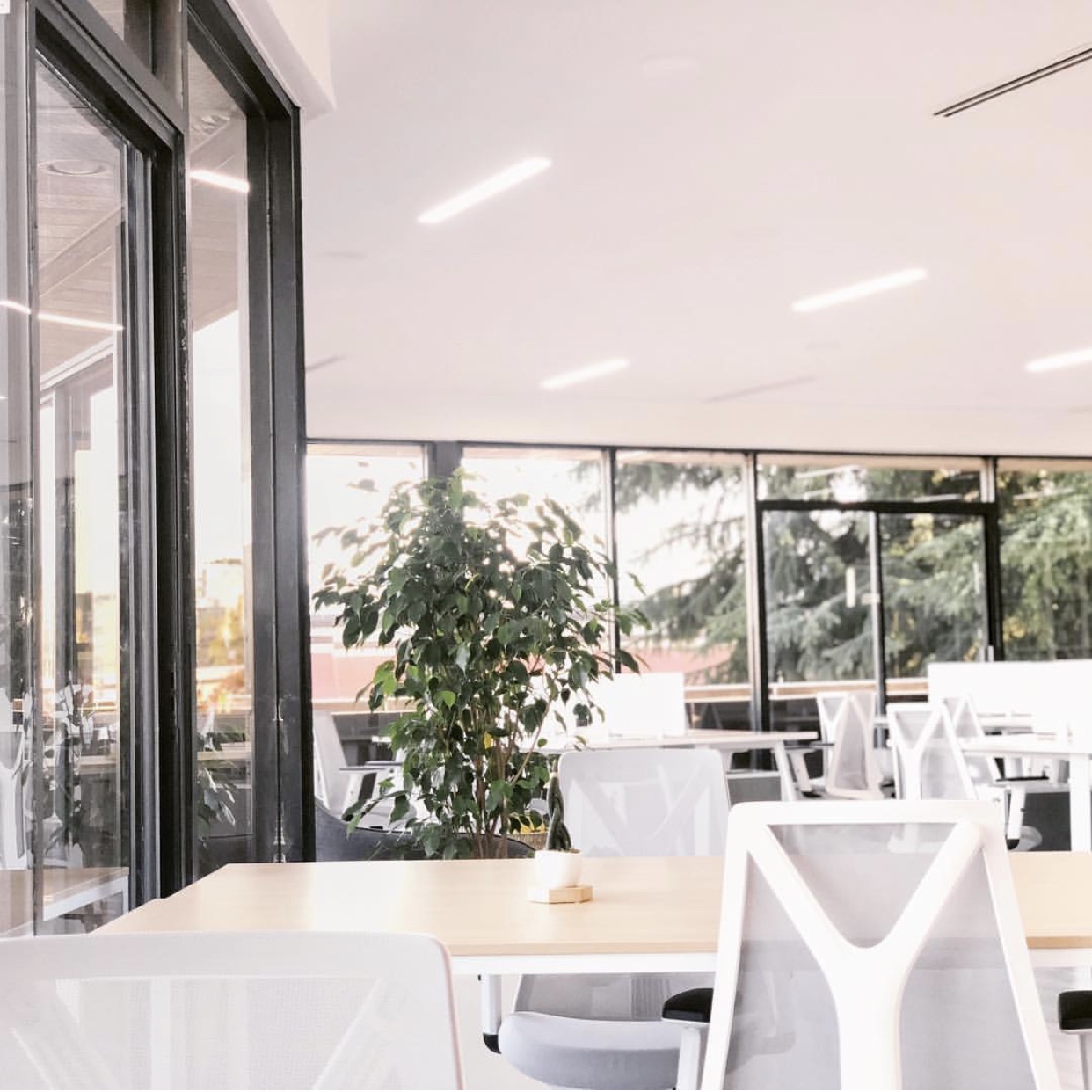 iSpace Coworking image 3