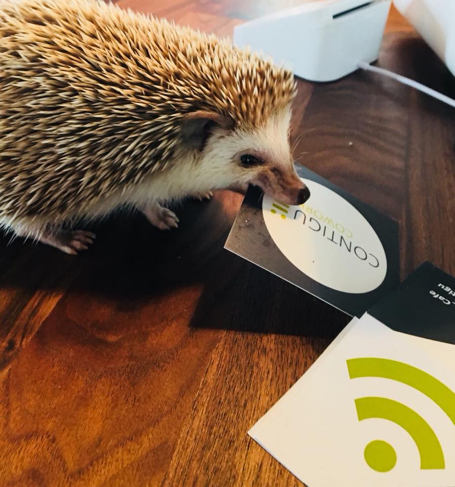 Contigu Cowork image 2