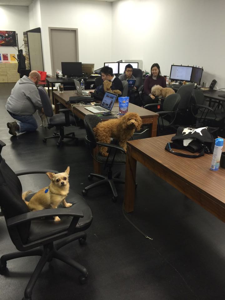 Beta Collective image 5