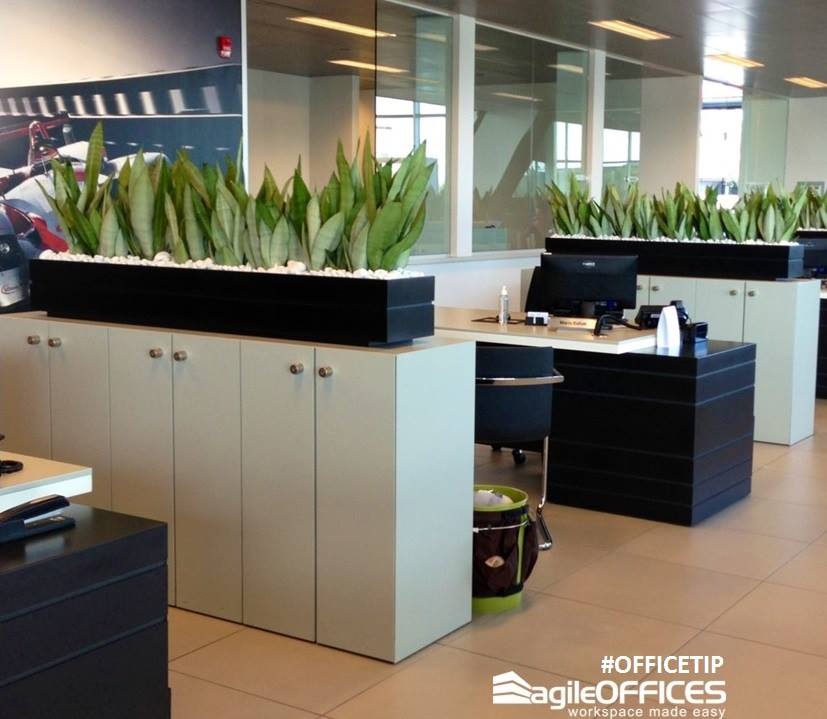 Agile Offices image 5