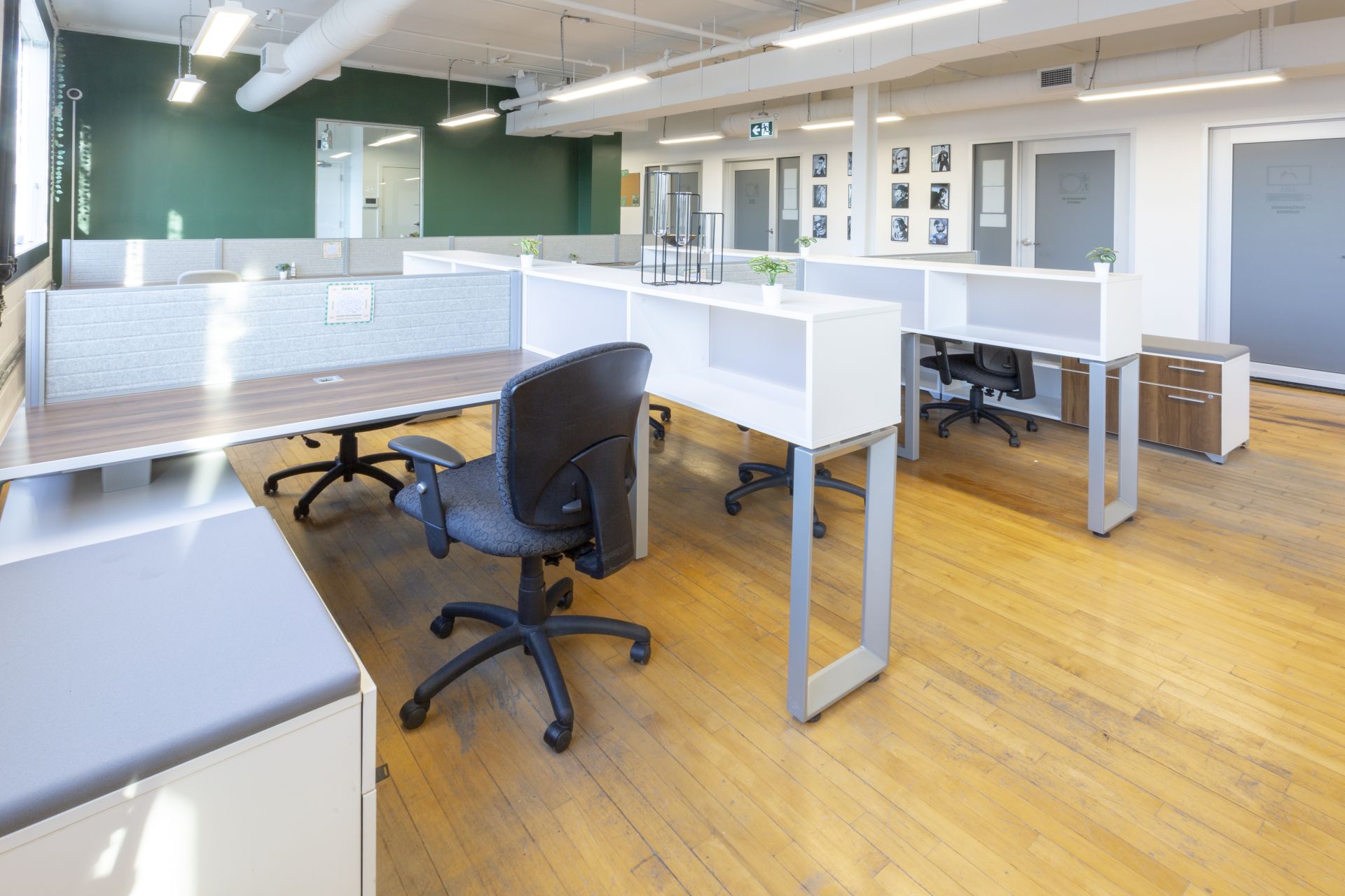 Sleepless Studios image 4