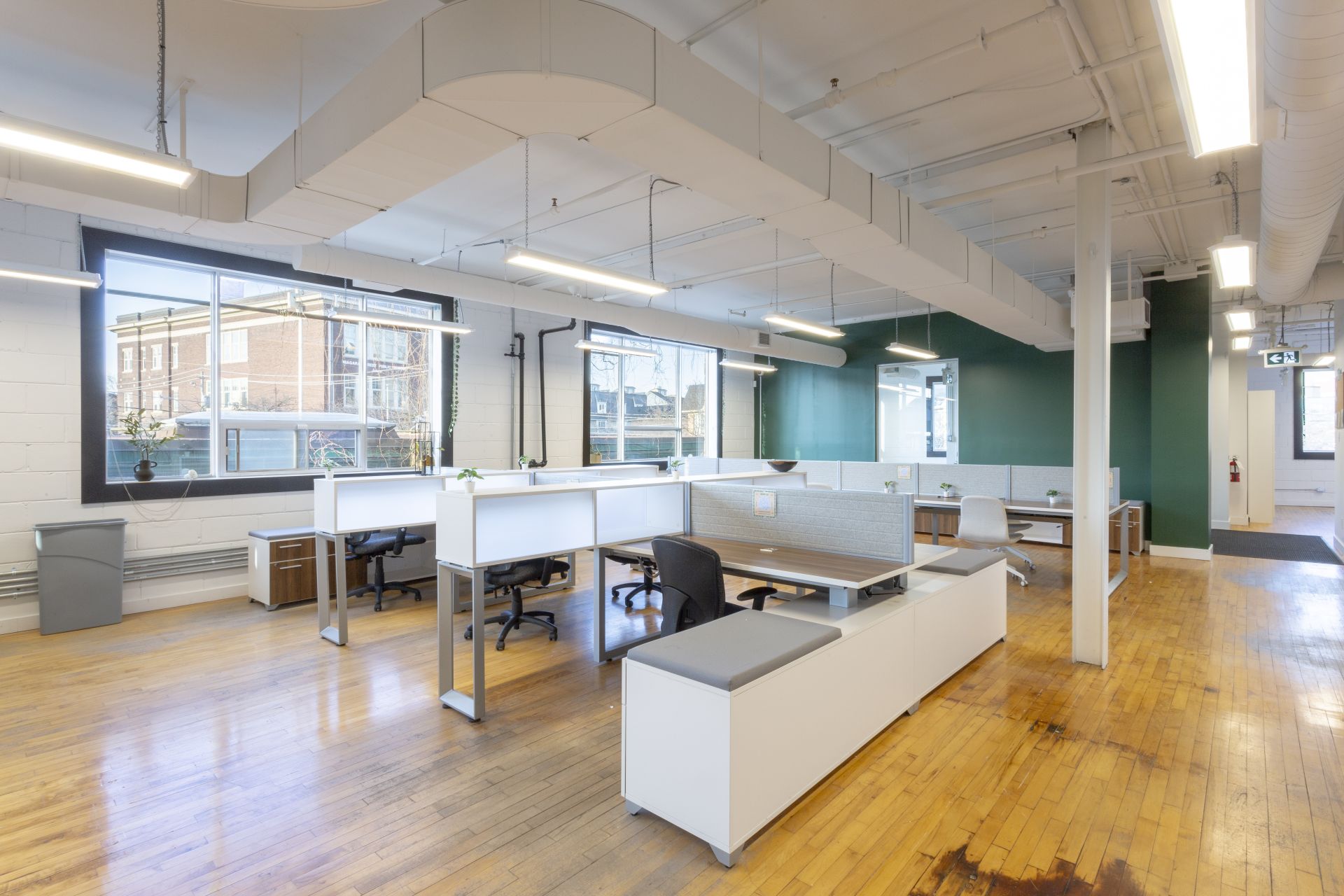 Sleepless Studios image 3