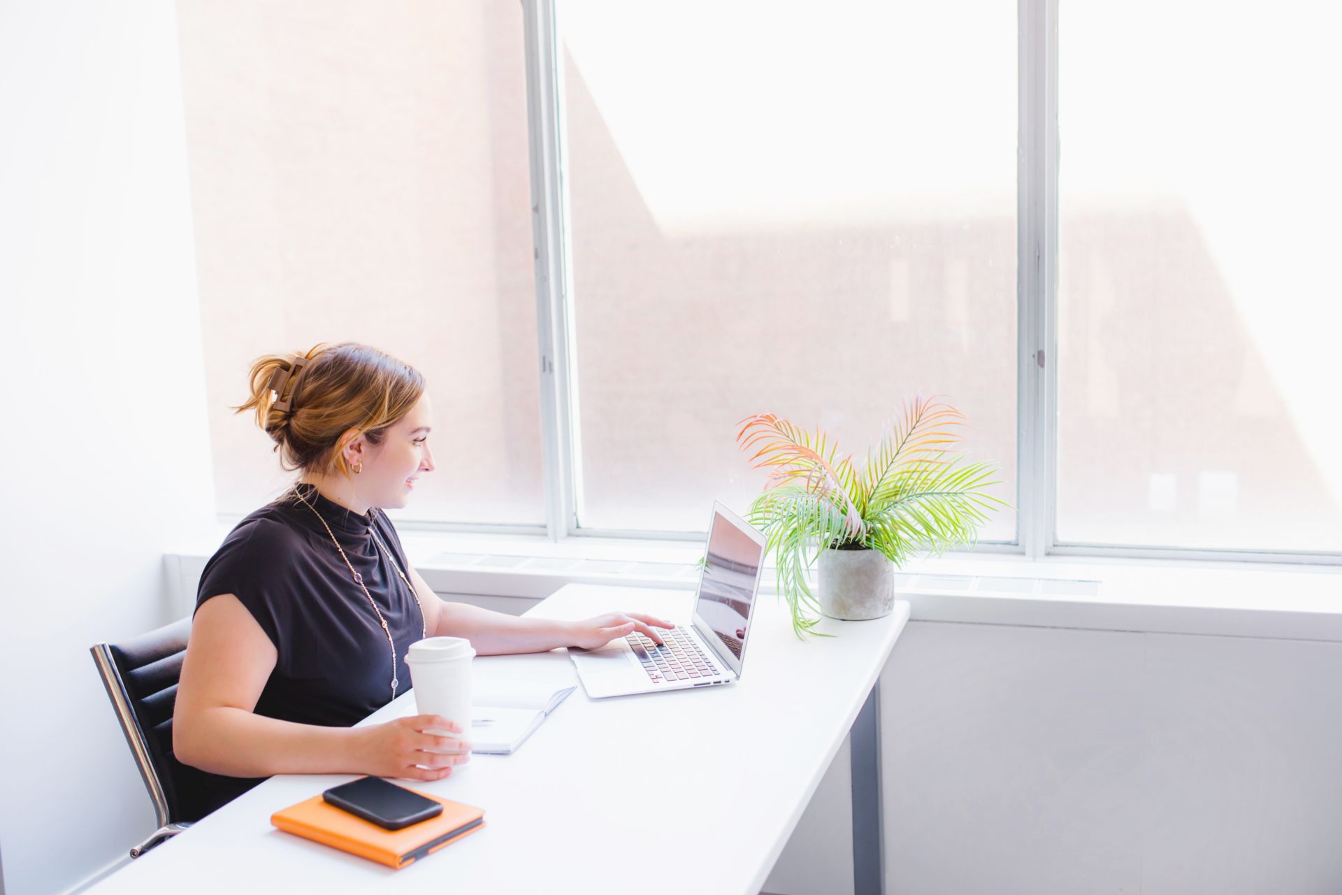 The Village Hive Eglinton image 4