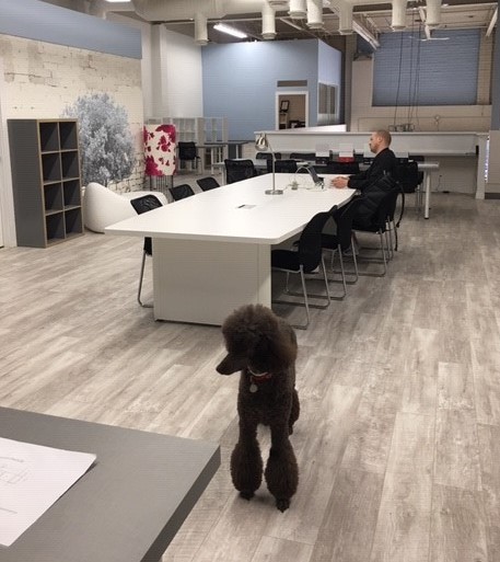 Cube Creative image 4