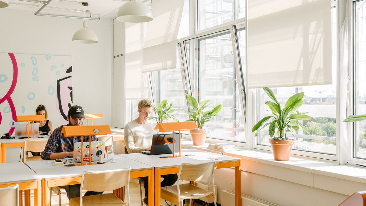 WeWork The Amazing Brentwood 3 image 4