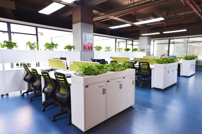 AKCY - Yi Zhuang image 3