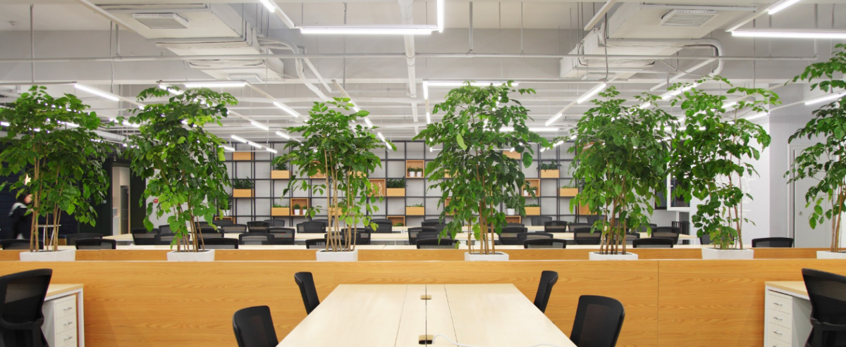 MyDreamPlus - ChangYing LongHu YiZhan Space image 3