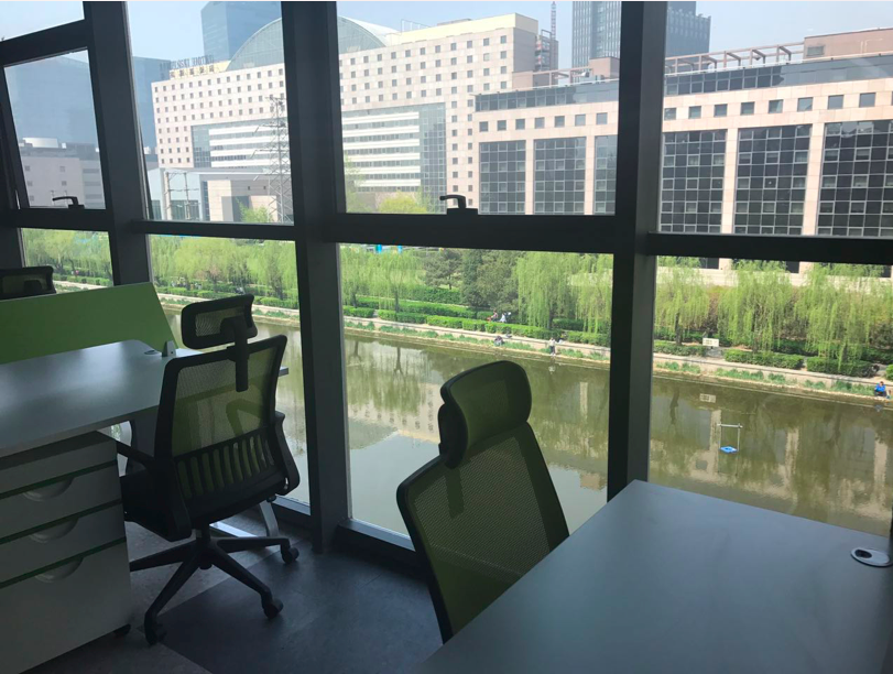 Paradise International image 4